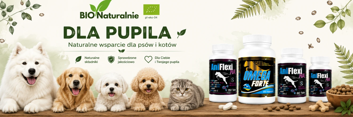 Baner promocyjny